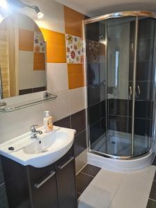 Kúpeľňa v ubytovaní Apartamenty U Samków