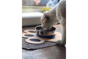 Ein Hund, der Essen aus einer Schüssel auf einem Teppich isst. in der Unterkunft Pecks Cottage in Whitby
