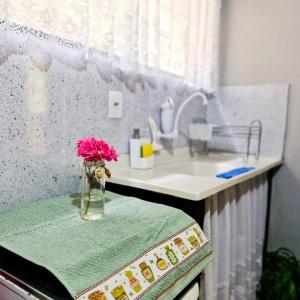 聖特雷莎的住宿－Casa de Campo Capixaba，花瓶,花朵粉红色,坐在厨房柜台上