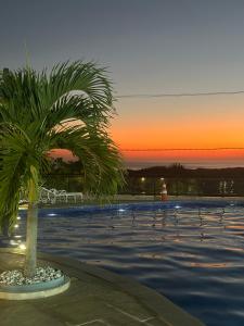 uma palmeira sentada ao lado de uma piscina ao pôr-do-sol em Apartamento Por do sol Le Bon Vivant em Arraial do Cabo