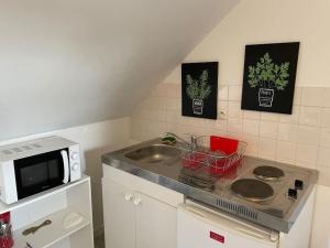 Η κουζίνα ή μικρή κουζίνα στο Le Cocon rouge - studio en plein centre historique
