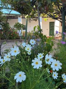 un ramo de flores blancas en un jardín en Villa Nanin en Tilcara