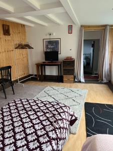 a living room with a bed and a television at Résidence Sainte Thérèse - la villa Selva in Lourdes