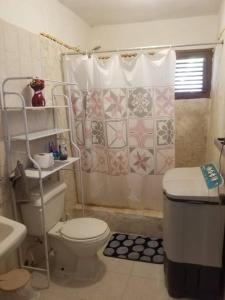 a bathroom with a toilet and a shower at Las Pascualas Beach in La Pascuala
