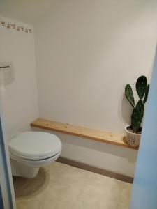 une salle de bains avec des toilettes et une plante sur une étagère dans l'établissement " LA DORDOGNE" appartement en duplex dans maison individuelle, à Le Mont-Dore