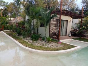 a house with a pool and a palm tree in front of it at AHAL in Chemuyil