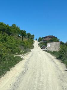 Příroda nedaleko apartmánu