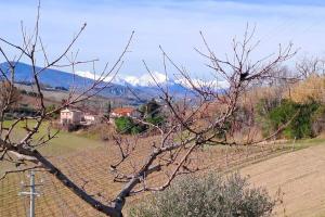 Afbeelding uit fotogalerij van Sweet Home Offida Rustica in Offida