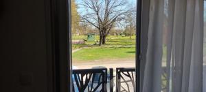 Κήπος έξω από το Jovana