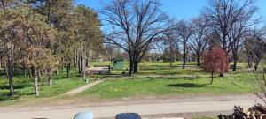 Κήπος έξω από το Jovana +1 φωτογραφίες