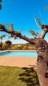 un árbol inclinado sobre una terraza de madera junto a una piscina en Relax in valle en Martina Franca