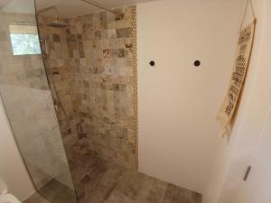 a bathroom with a shower with a glass door at Mica fermă veselă in Câmpulung Moldovenesc
