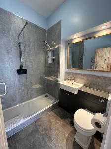 a bathroom with a shower and a toilet and a sink at No. 4 Smith Cottages in Langport