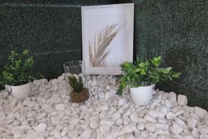una tavola con tre piante in vaso e un quadro di Artiste a Douai