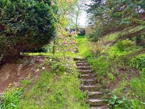 Zahrada ubytování MMRent Lake Room