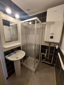 La salle de bains est pourvue d'une douche et d'un lavabo. dans l'établissement Appart proche gare et centre ville, à Vierzon