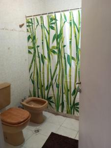 Hostel Hornocal في سان سلفادور دي خوخوي: حمام مع مرحاض وستارة دش من الخيزران