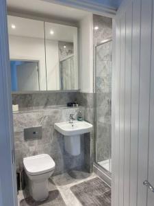 a bathroom with a toilet and a sink and a shower at 3 Bedroom Apartment with Balcony in Bishops Stortford
