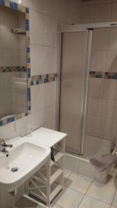 ein Bad mit einem Waschbecken und einer Dusche in der Unterkunft Hoffmanns Nordfriesisches Haus in Tönning