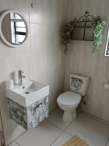 La salle de bains est pourvue de toilettes, d'un lavabo et d'un miroir. dans l'établissement Studio On Fairway, à Langebaan
