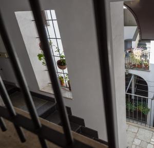 Kuchyň nebo kuchyňský kout v ubytování In pieno centro storico Ca Marì e Casa Elena
