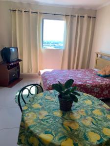 a room with a table with a potted plant on it at Pousada Villa Argos Guesthouse in Piracicaba