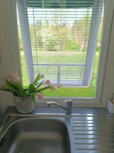 a kitchen sink with a window and a vase with flowers at Mobilheim Bukovina in Mnichovo Hradiště