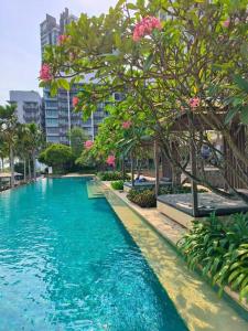努沙再也Iskandar Residence in Medini City的一个拥有蓝色水和树木的游泳池,以及粉红色的鲜花