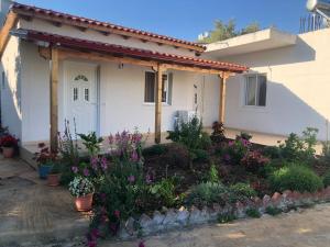 a small white house with flowers in front of it at Nino's rooms in Sarandë