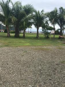 Gallery image of M's Dreams in Quepos