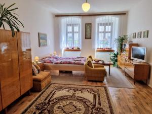 sala de estar con cama y TV en Apartment in a historical house in the center of Levoča, en Levoča