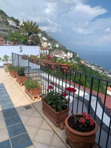 een balkon met potplanten en uitzicht op de stad bij La casa delle stelle in Castelvetere sul Calore