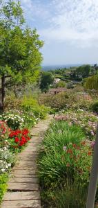 un chemin en bois traversant un jardin fleuri dans l'établissement PLEIN SUD, à Tourrettes-sur-Loup