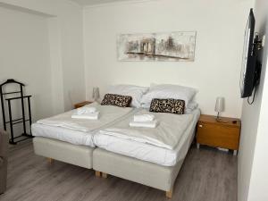 1 cama con 2 almohadas en una habitación en Apartmány Formanka na náměstí, en Hustopeče