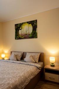 Ένα ή περισσότερα κρεβάτια σε δωμάτιο στο Apartamenty u Romy - Mocha