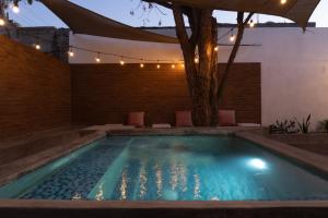una piscina en una casa con un árbol en CASa SENECA en La Paz