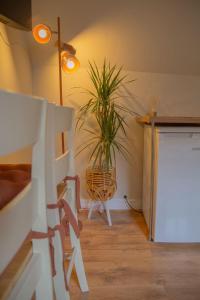 a room with a chair and a plant in it at Countryside Loft in Bridgnorth in Bridgnorth