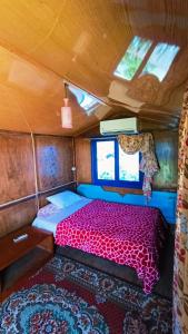 un lit à l'arrière d'une camionnette dans l'établissement Blue Bus Camp Resort, à Nuweiba