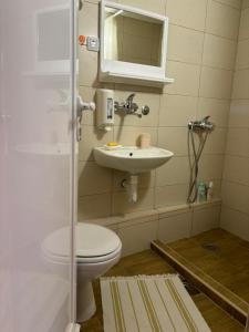 La salle de bains est pourvue de toilettes et d'un lavabo. dans l'établissement Ljubav Stara Zaovine, à Lazići
