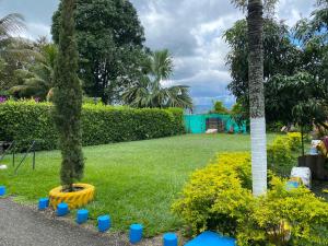 Vrt u objektu Finca los recuerdo tulua