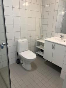 a white bathroom with a toilet and a sink at Selvbetjent leilighetshotell på Ålgård in Ålgård +31 photos