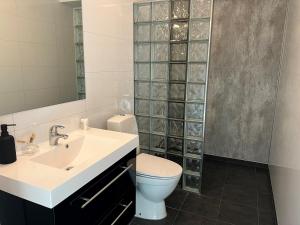 a bathroom with a toilet and a sink and a mirror at Selvbetjent leilighetshotell på Ålgård in Ålgård +28 photos