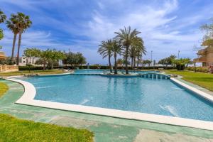 een groot zwembad met palmbomen in een tuin bij Sea Soul by Fidalsa in El Campello