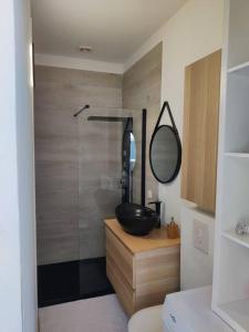 uma casa de banho com uma cabina de duche em vidro e um lavatório preto. em Agréable studio 3 au calme absolu a Cabries 13480 em Cabriès