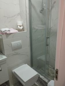 un bagno bianco con doccia e WC di Vila Leona C0 a Divčibare