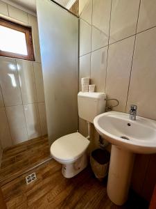 łazienka z toaletą i umywalką w obiekcie Holiday home Kraljica w mieście Vlašić