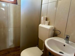 Ένα μπάνιο στο Vlasic Odmor - Villa Kraljica