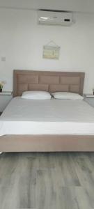 ケパロにあるSevilia Roomsの大型ベッド1台(ウッドフロアのベッドルーム内)