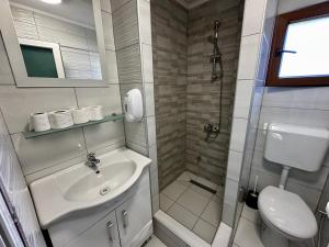 a bathroom with a shower and a sink and a toilet at Holiday home Kraljica in Vlasic