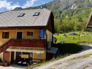a house with a balcony and cows in a field at Apartma ANAYA in Bovec